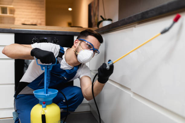 Best Wildlife Control Services  in Braddock, PA