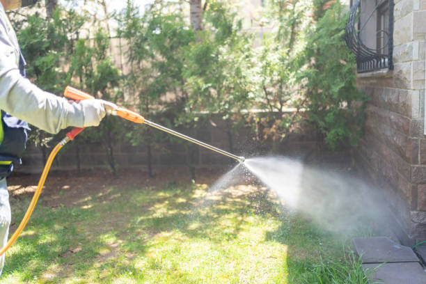Best Affordable Pest Control Services  in Braddock, PA
